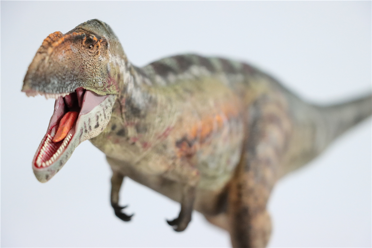 IN STOCK! GRTOYS 1/35 Scientific Carcharodontosaurus Figure Realistic Dinosaur PVC Collector Toys Animal Model Decoration Gift