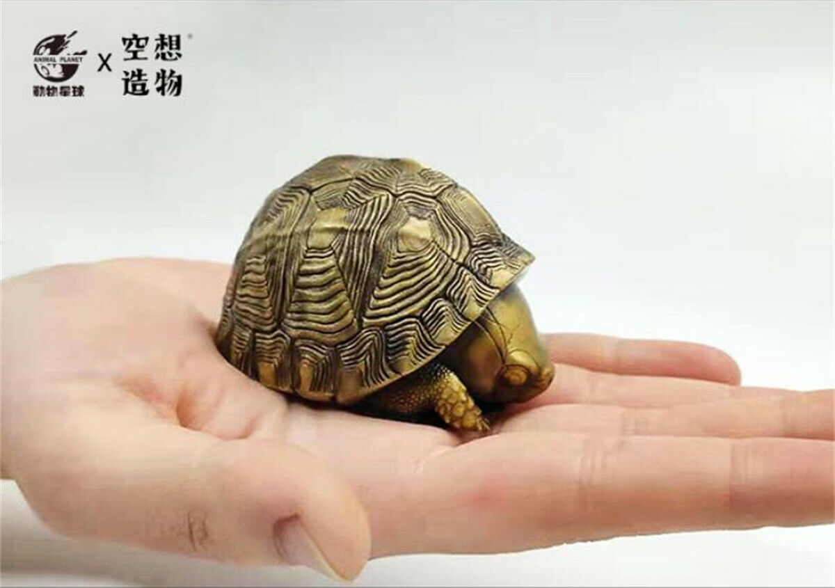 Copper Turtle Model Chelydra Osceola Chinemys Animal Figure Collector Decor Gift Crafts Souvenirs Decoration Vehicle Simulation