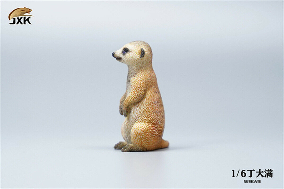 JXK 1/6 Lion's Buddy Model Suricate Pig Warthog Lionet Figure Animal Collect Christmas Decoration Ornaments Adults Kids Gift