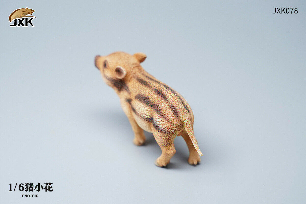 JXK 1/6 Lion's Buddy Model Suricate Pig Warthog Lionet Figure Animal Collect Christmas Decoration Ornaments Adults Kids Gift