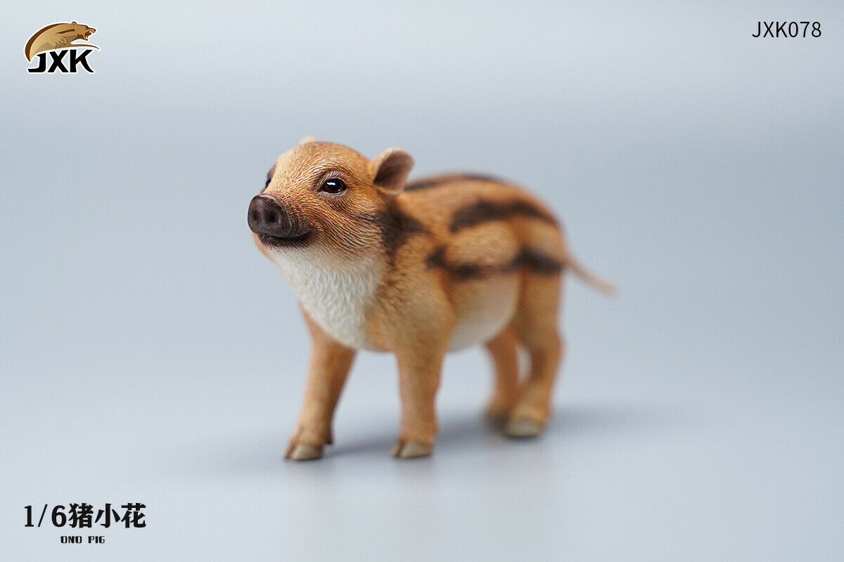 JXK 1/6 Lion's Buddy Model Suricate Pig Warthog Lionet Figure Animal Collect Christmas Decoration Ornaments Adults Kids Gift