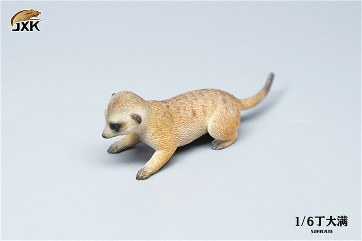JXK 1/6 Lion's Buddy Model Suricate Pig Warthog Lionet Figure Animal Collect Christmas Decoration Ornaments Adults Kids Gift
