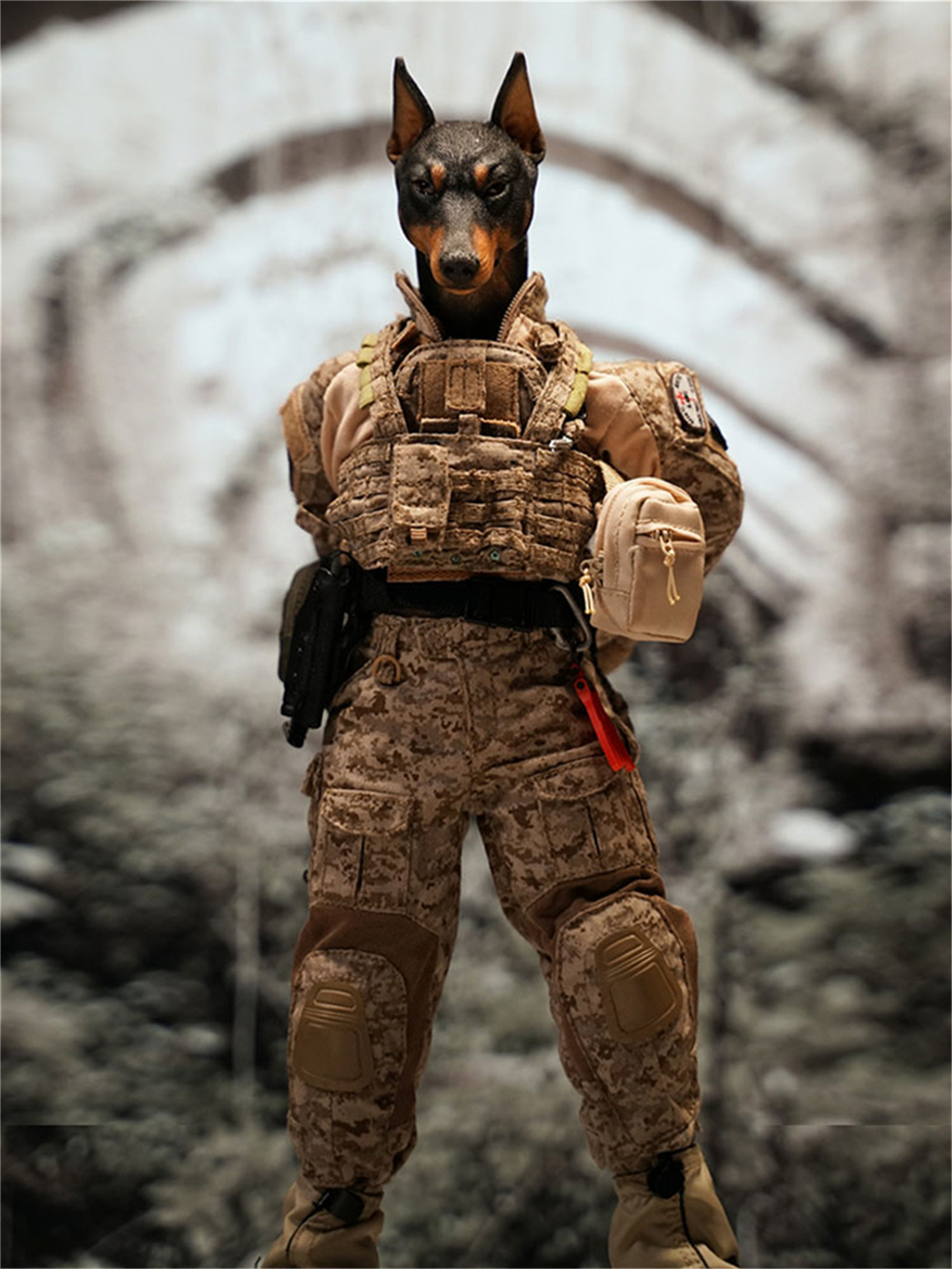 Mostoys 1/6 Dobermann Head Figure Dog Pet Healing Figure Cute Canidae Animal Collector Toy Resin Desktop Decoration Gift