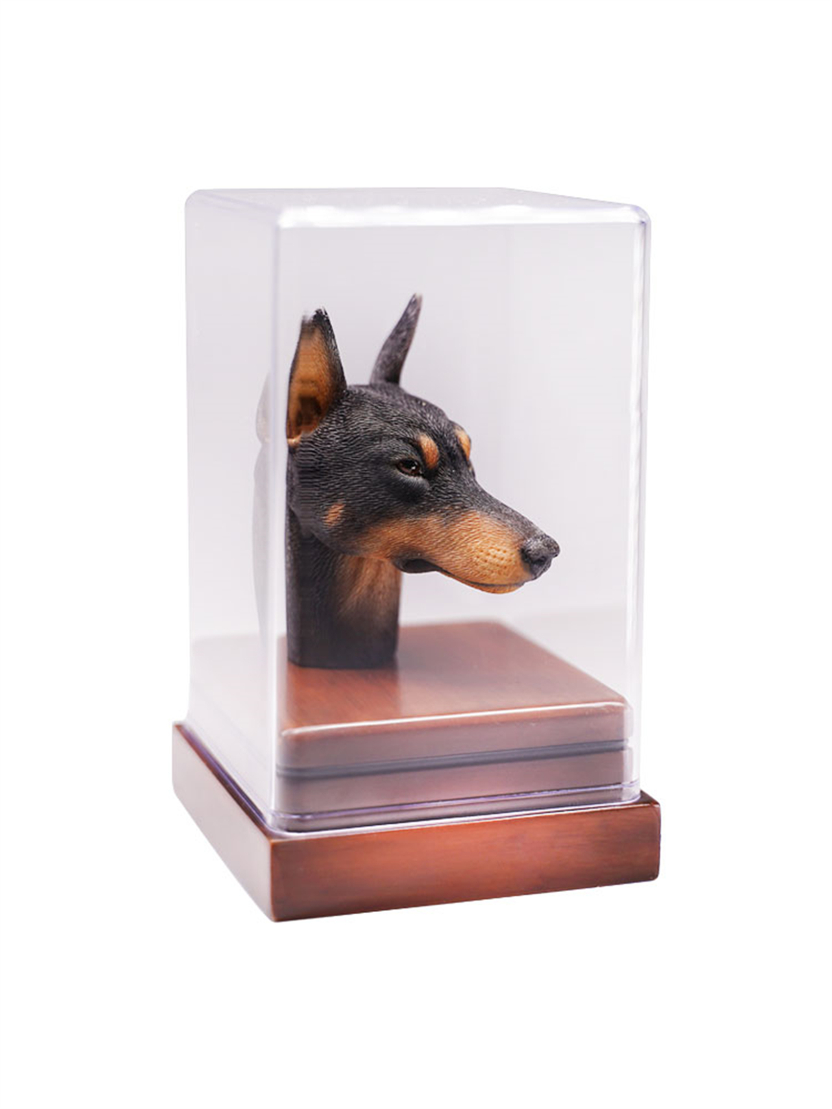 Mostoys 1/6 Dobermann Head Figure Dog Pet Healing Figure Cute Canidae Animal Collector Toy Resin Desktop Decoration Gift