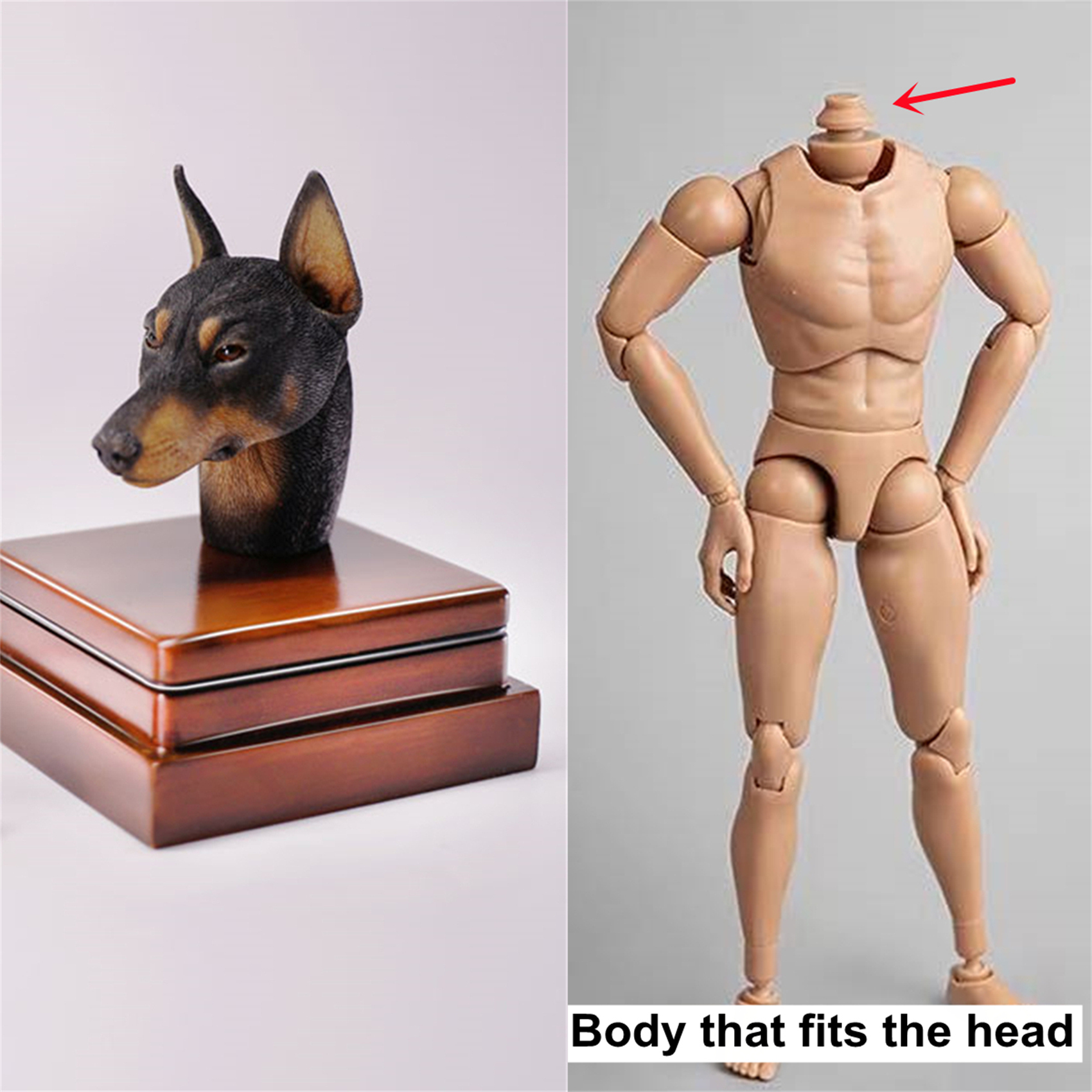 Mostoys 1/6 Dobermann Head Figure Dog Pet Healing Figure Cute Canidae Animal Collector Toy Resin Desktop Decoration Gift