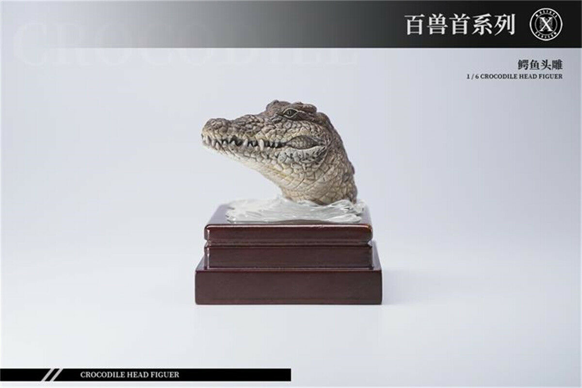 Mostoys 1/6 Crocodile Head Figure Healing Soldier Model Cute Animal Collector Toy Resin Realistic Desktop Decoration Kids Gift Mostoys 1/6 Crocodile Head Figure Healing Soldier Model Cute Animal Collector Toy Resin Realistic Desktop Decoration Kids Gift