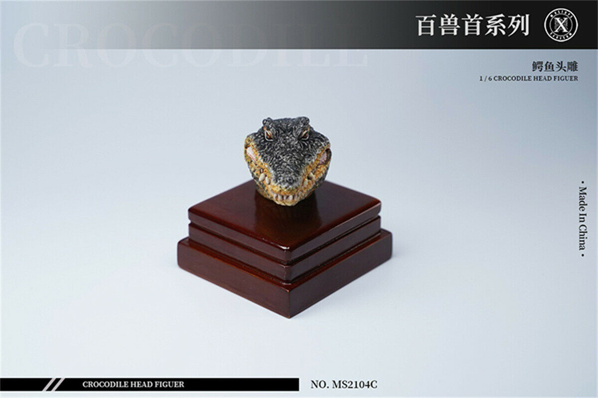 Mostoys 1/6 Crocodile Head Figure Healing Soldier Model Cute Animal Collector Toy Resin Realistic Desktop Decoration Kids Gift Mostoys 1/6 Crocodile Head Figure Healing Soldier Model Cute Animal Collector Toy Resin Realistic Desktop Decoration Kids Gift