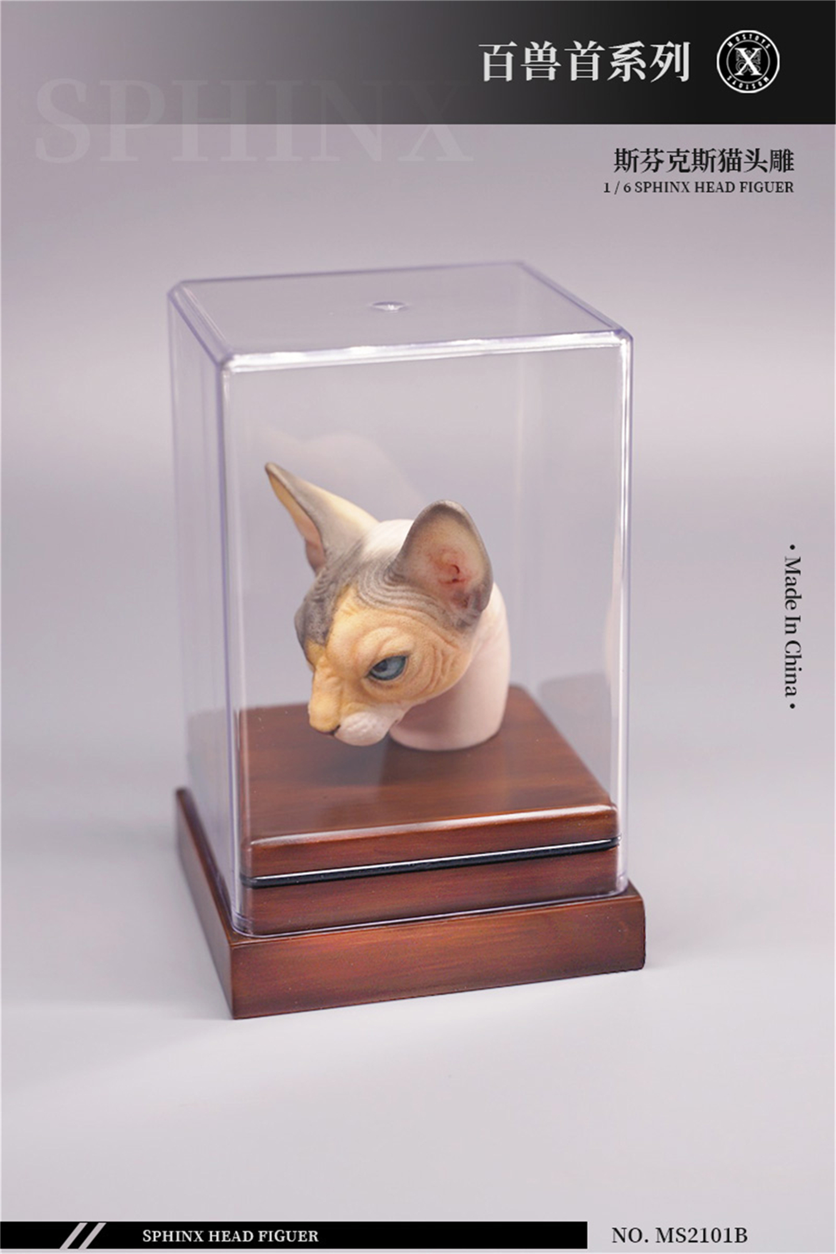 Mostoys 1/6 Sphynx Head Figure Hairless Cat Pet Healing Figure Cute Animal Collector Toy Resin Desktop Decoration Gift