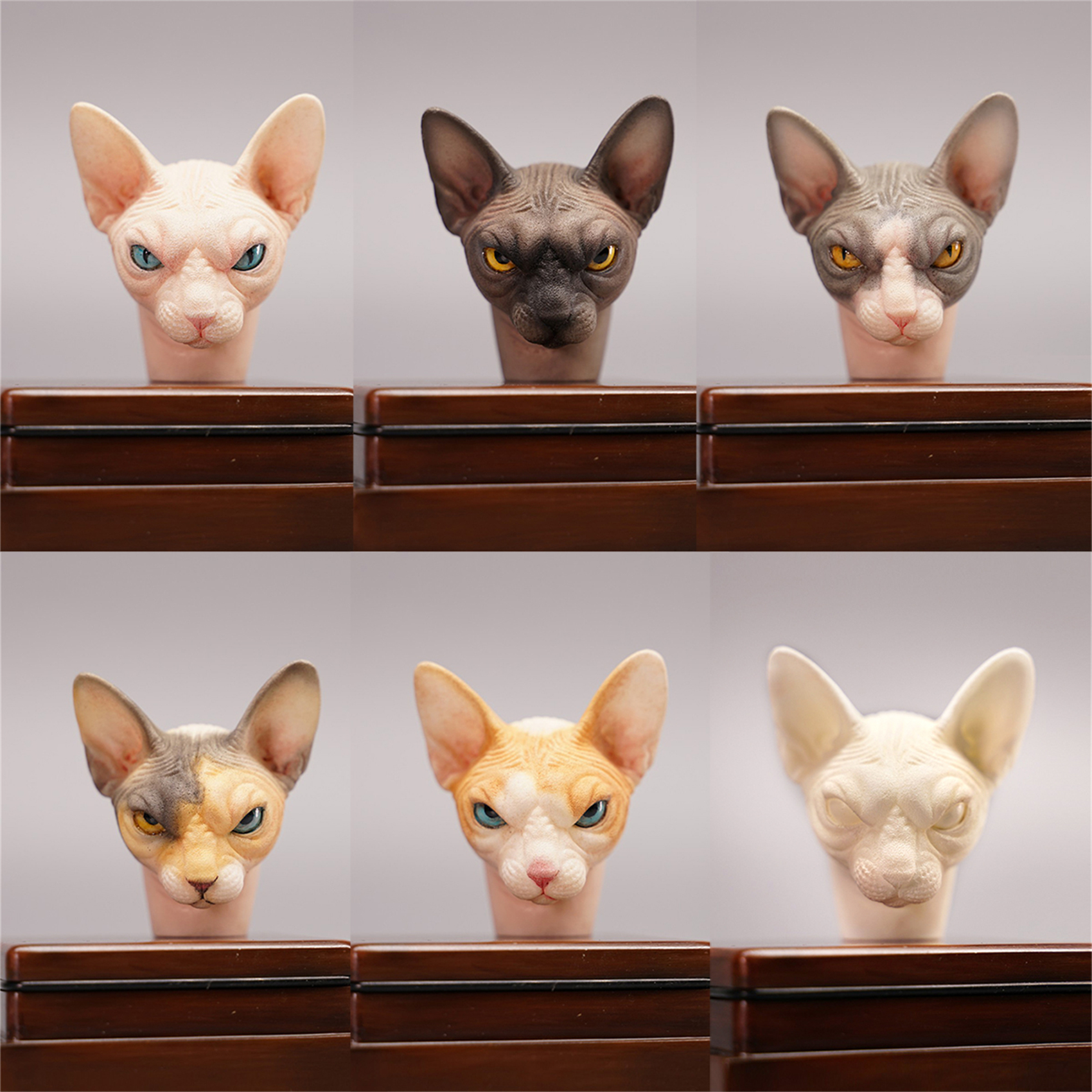 Mostoys 1/6 Sphynx Head Figure Hairless Cat Pet Healing Figure Cute Animal Collector Toy Resin Desktop Decoration Gift