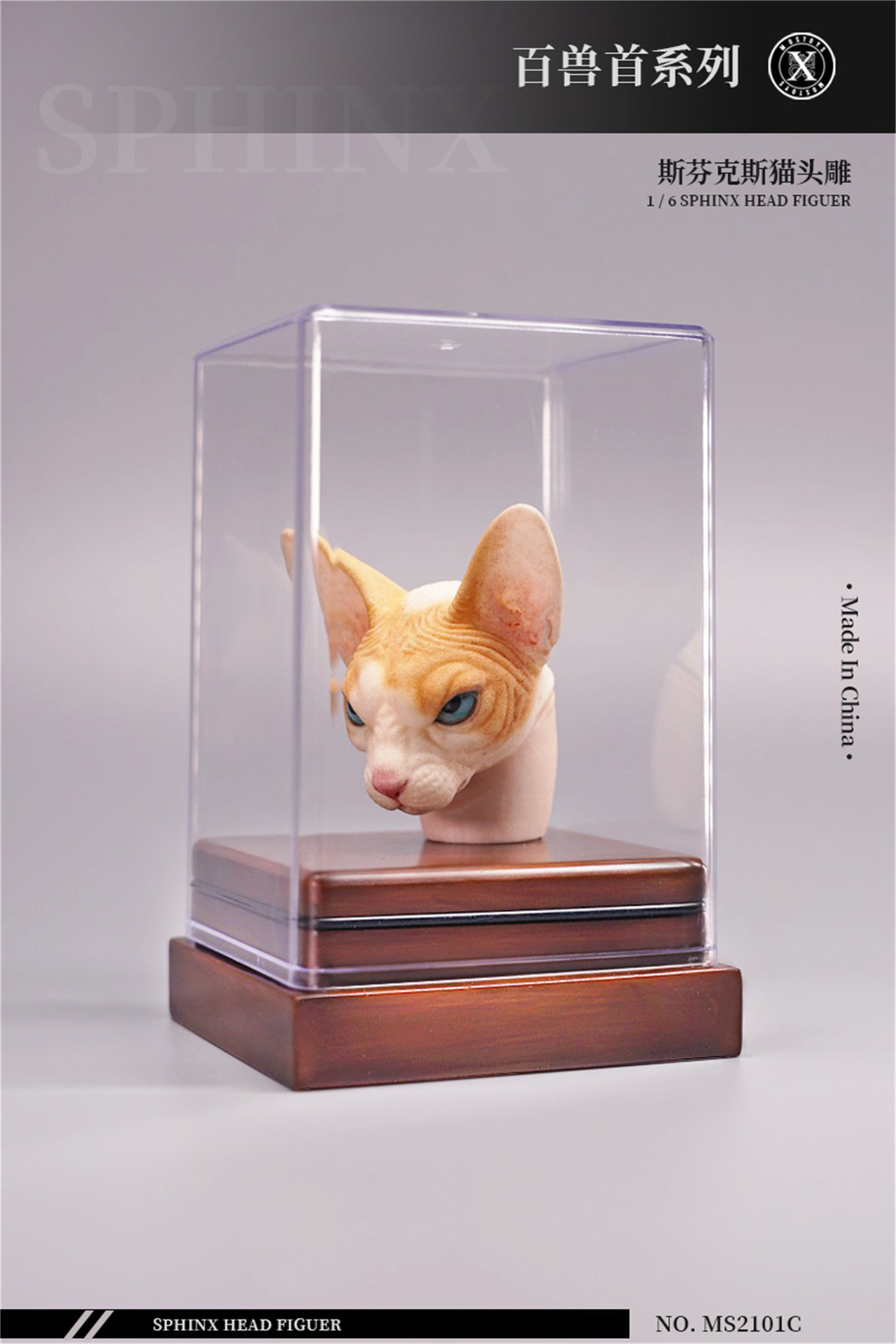 Mostoys 1/6 Sphynx Head Figure Hairless Cat Pet Healing Figure Cute Animal Collector Toy Resin Desktop Decoration Gift