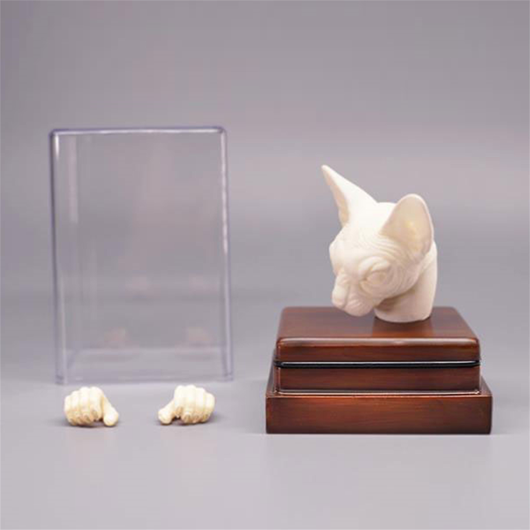 Mostoys 1/6 Sphynx Head Figure Hairless Cat Pet Healing Figure Cute Animal Collector Toy Resin Desktop Decoration Gift