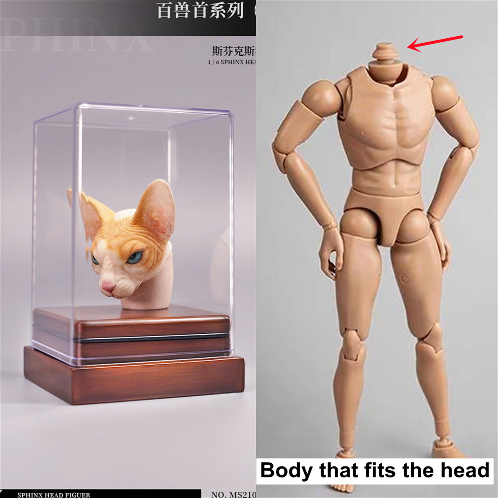 Mostoys 1/6 Sphynx Head Figure Hairless Cat Pet Healing Figure Cute Animal Collector Toy Resin Desktop Decoration Gift