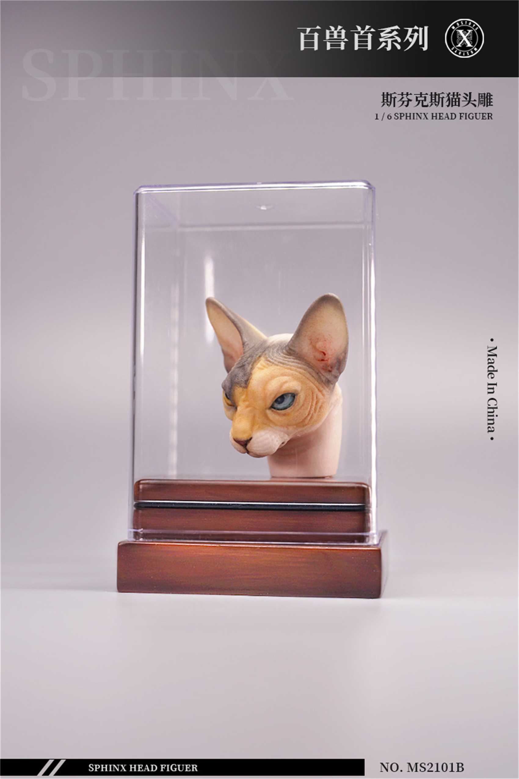Mostoys 1/6 Sphynx Head Figure Hairless Cat Pet Healing Figure Cute Animal Collector Toy Resin Desktop Decoration Gift