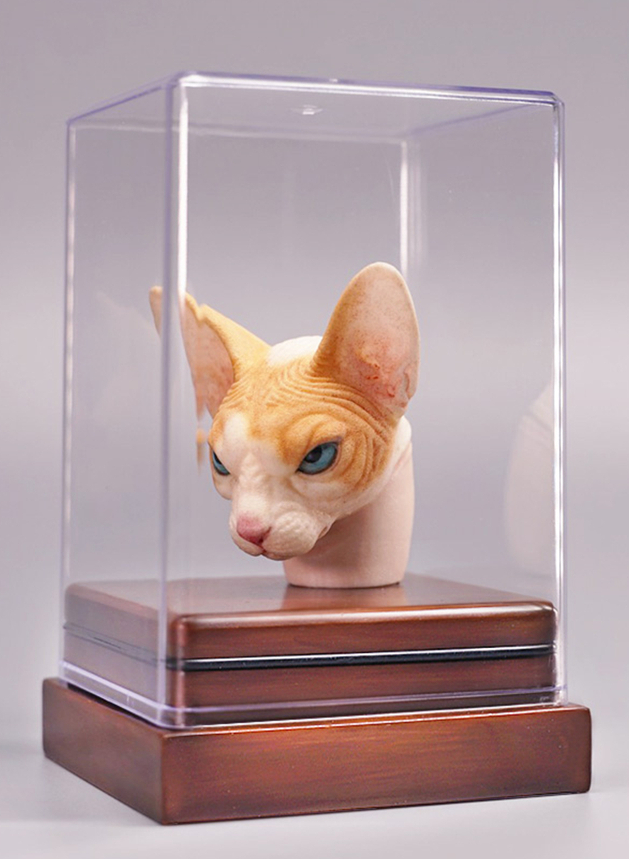 Mostoys 1/6 Sphynx Head Figure Hairless Cat Pet Healing Figure Cute Animal Collector Toy Resin Desktop Decoration Gift