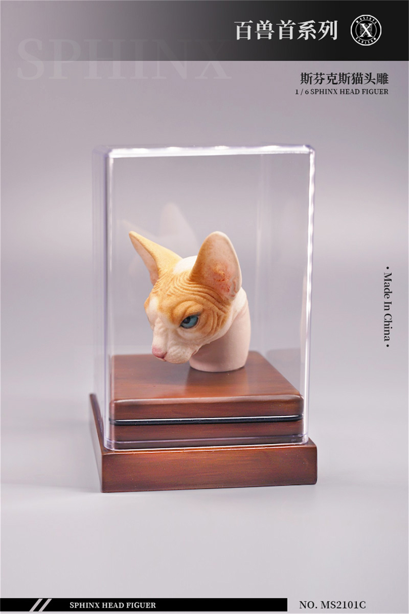 Mostoys 1/6 Sphynx Head Figure Hairless Cat Pet Healing Figure Cute Animal Collector Toy Resin Desktop Decoration Gift