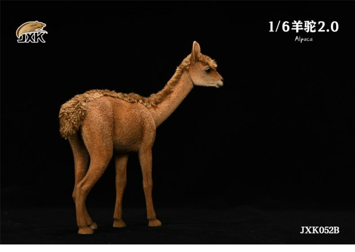 JXK 1/6 Alpaca 2.0 Figure Grass Mud Horse Pet Healing Figure Camelidae Animal Collector Toy Resin Desktop Decoration Gift JXK 1/6 Alpaca 2.0 Figure Grass Mud Horse Pet Healing Figure Camelidae Animal Collector Toy Resin Desktop Decoration Gift