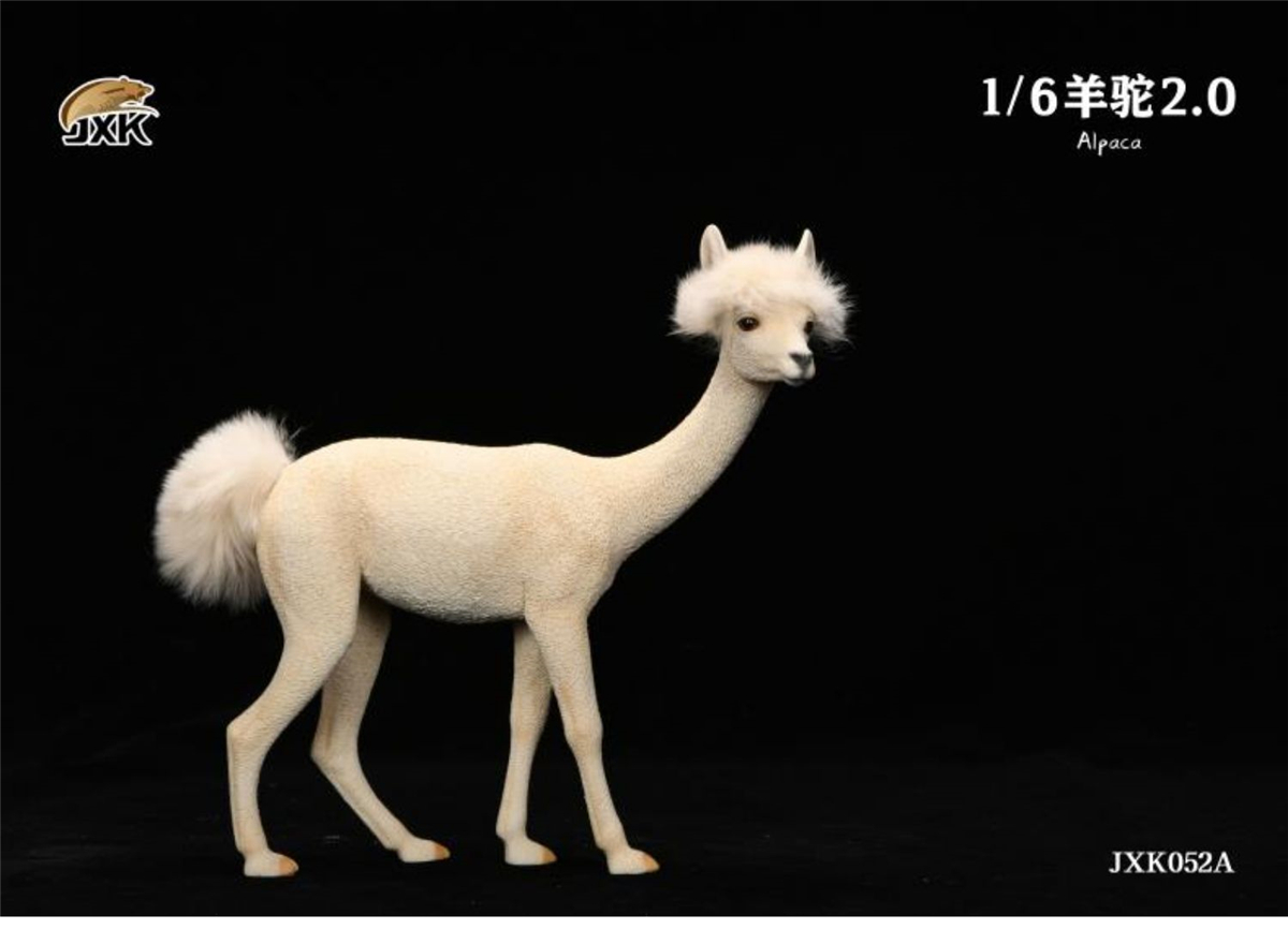 JXK 1/6 Alpaca 2.0 Figure Grass Mud Horse Pet Healing Figure Camelidae Animal Collector Toy Resin Desktop Decoration Gift JXK 1/6 Alpaca 2.0 Figure Grass Mud Horse Pet Healing Figure Camelidae Animal Collector Toy Resin Desktop Decoration Gift
