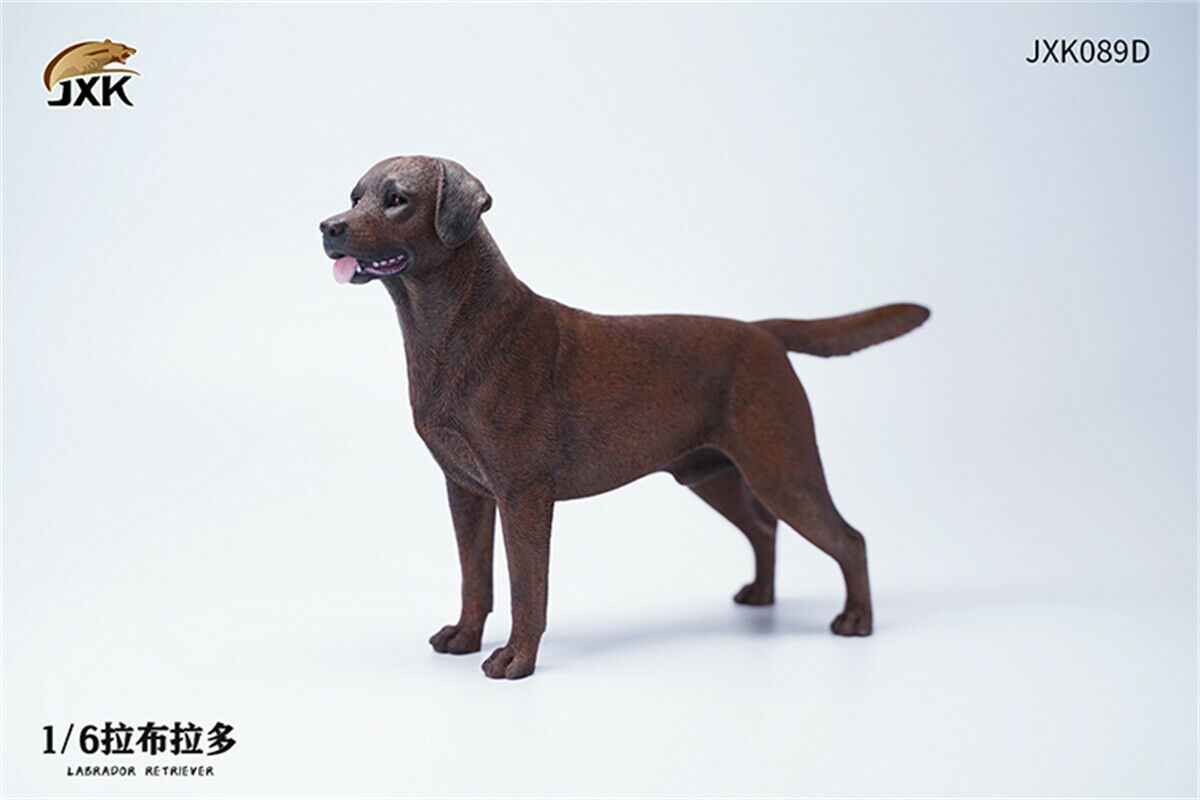 JXK 1/6th Labrador Retriever Dog Model Cute Pet Figure Animal Figure Collector Creative Funny Christmas Decoration Kid Toy Gift