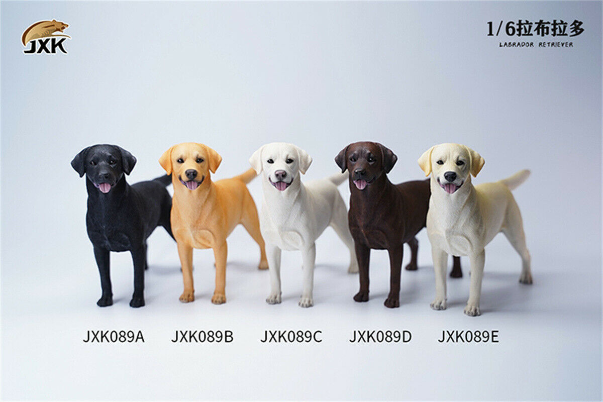 JXK 1/6th Labrador Retriever Dog Model Cute Pet Figure Animal Figure Collector Creative Funny Christmas Decoration Kid Toy Gift