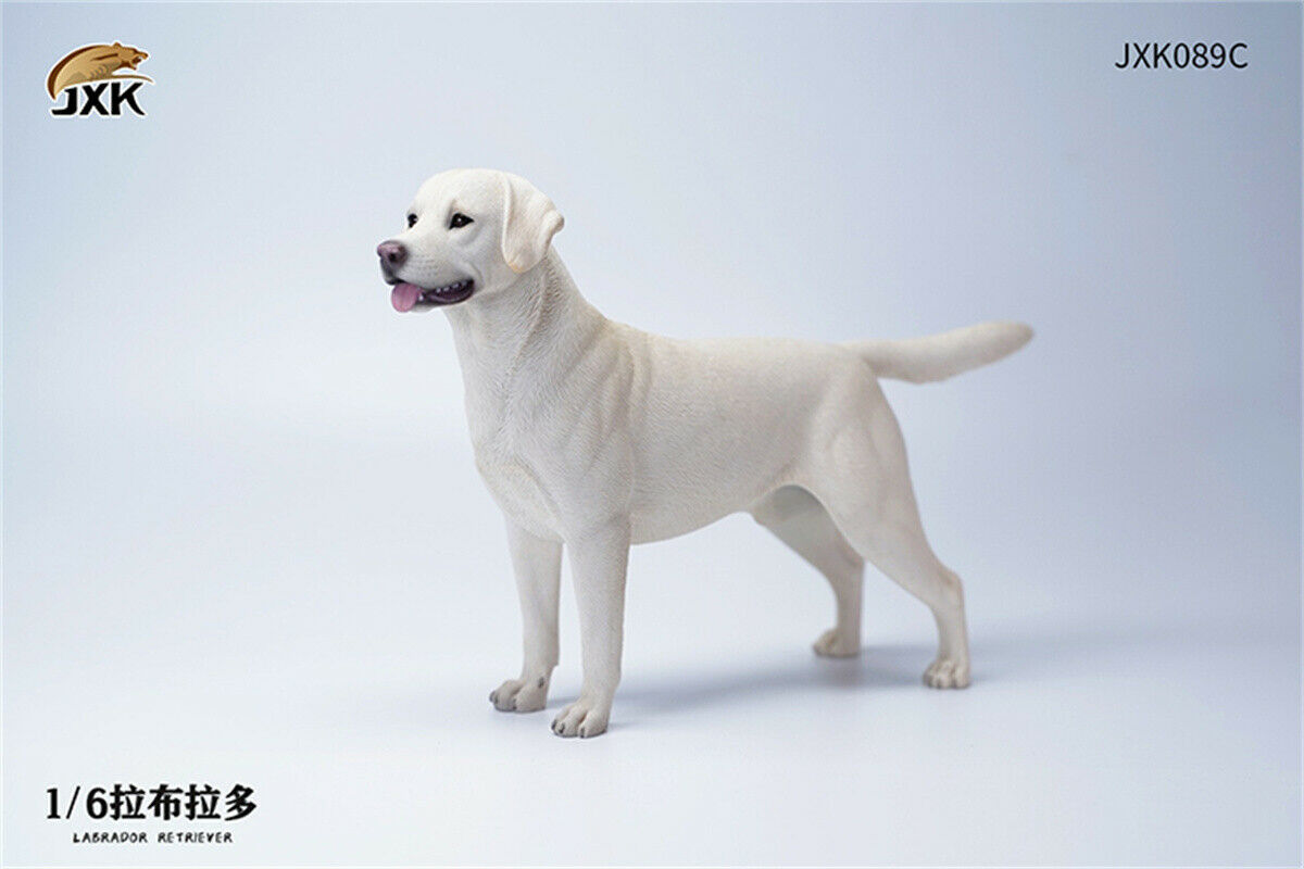 JXK 1/6th Labrador Retriever Dog Model Cute Pet Figure Animal Figure Collector Creative Funny Christmas Decoration Kid Toy Gift