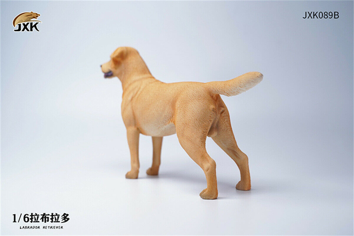 JXK 1/6th Labrador Retriever Dog Model Cute Pet Figure Animal Figure Collector Creative Funny Christmas Decoration Kid Toy Gift