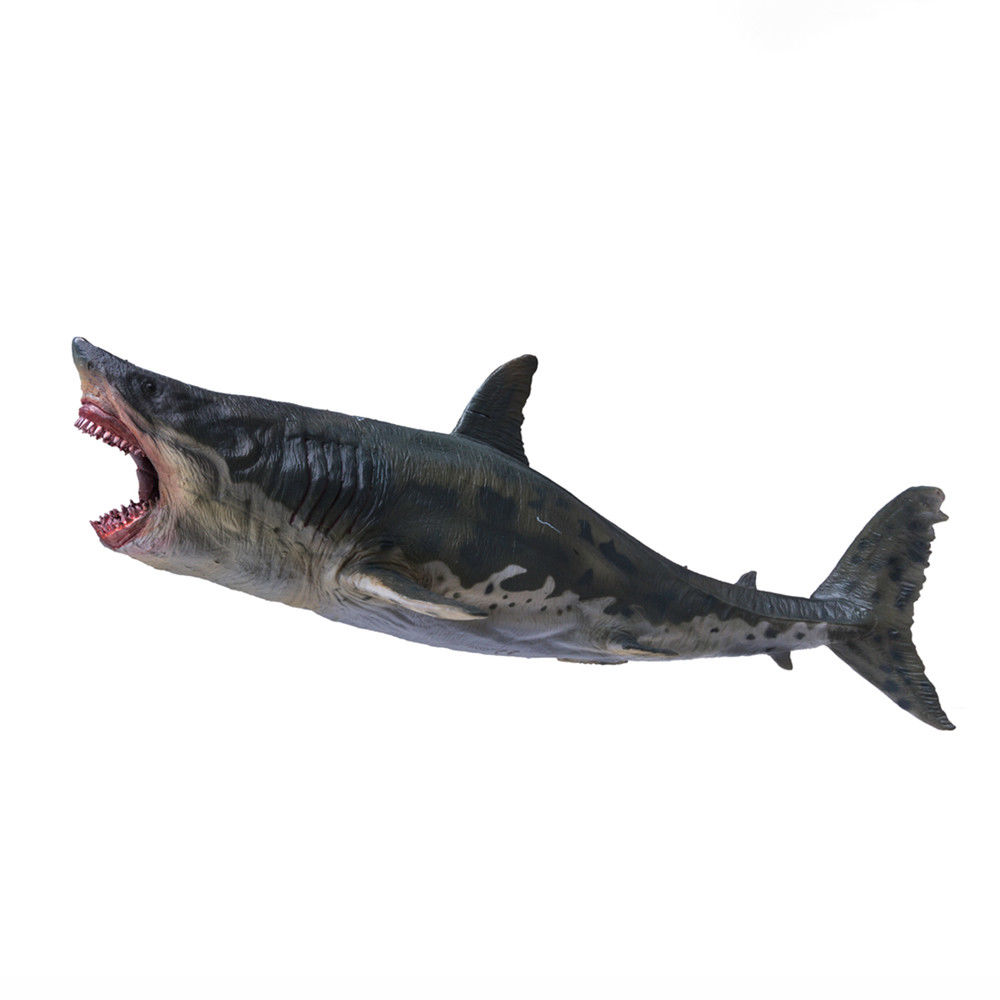 PNSO 1:35 Megalodon Model Prehistoric Ocean Animal Figure With Base Adult Kids Collection Lamnidae Shark Toys Gift Home Decor