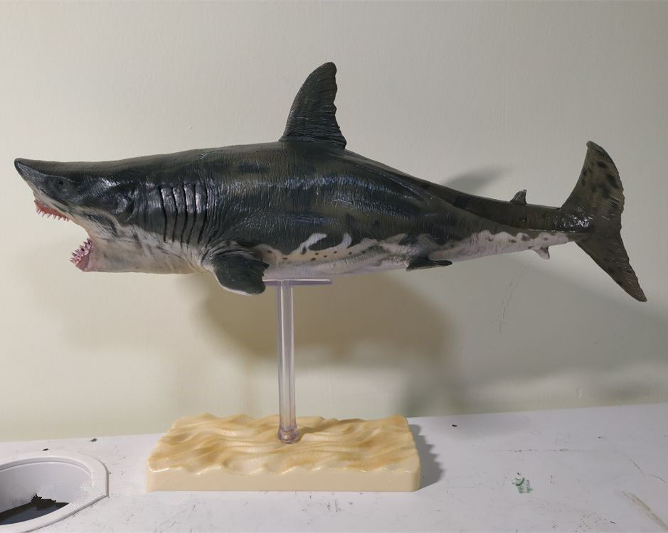 PNSO 1:35 Megalodon Model Prehistoric Ocean Animal Figure With Base Adult Kids Collection Lamnidae Shark Toys Gift Home Decor
