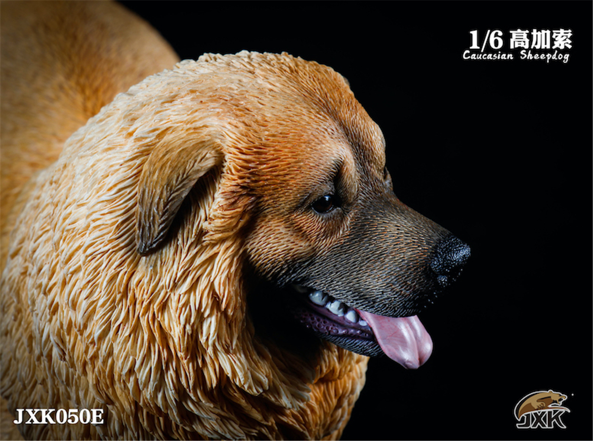 JXK 1:6 Scale Caucasian Sheepdog Dog Pet Healing Figure Canidae Animal Collector Toy Resin Desktop Decoration Gift