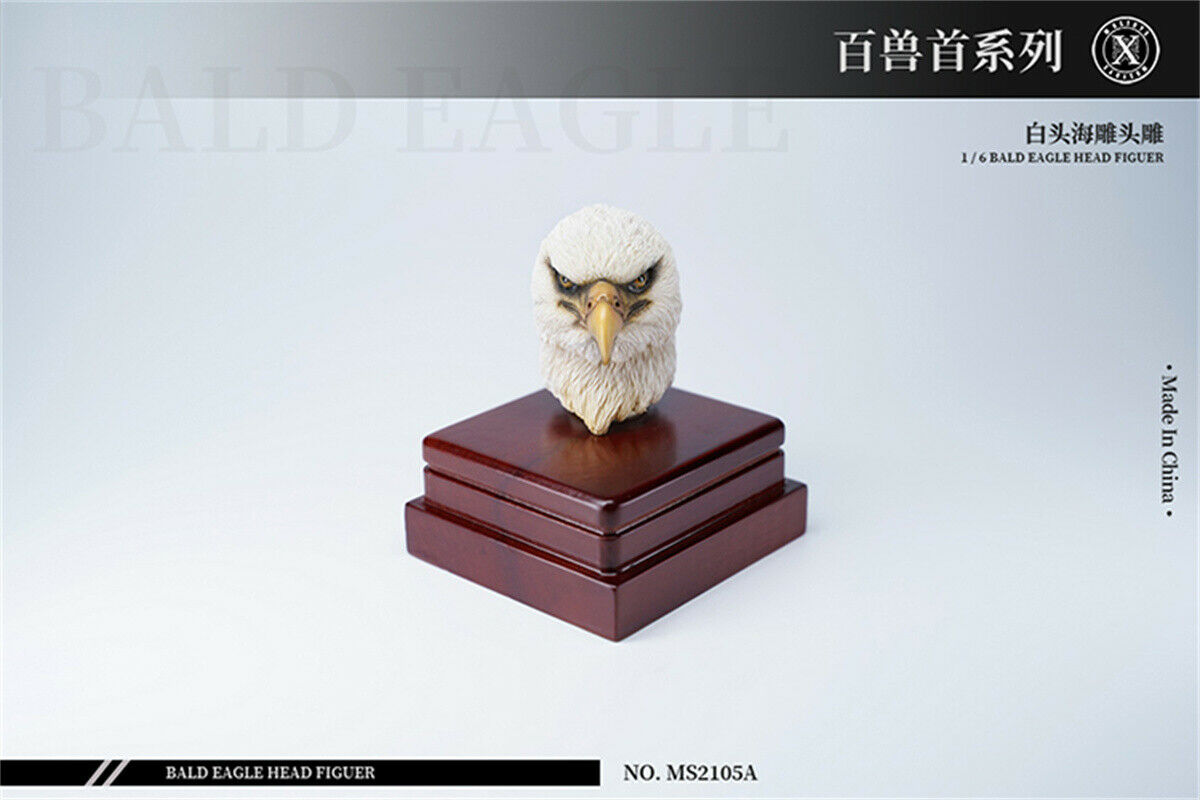 Mostoys 1/6 Bald Eagle Figure Healing Soldier Model Haliaeetus Leucocephalus Animal Collector Toy Resin Realistic Decor Kid Gift