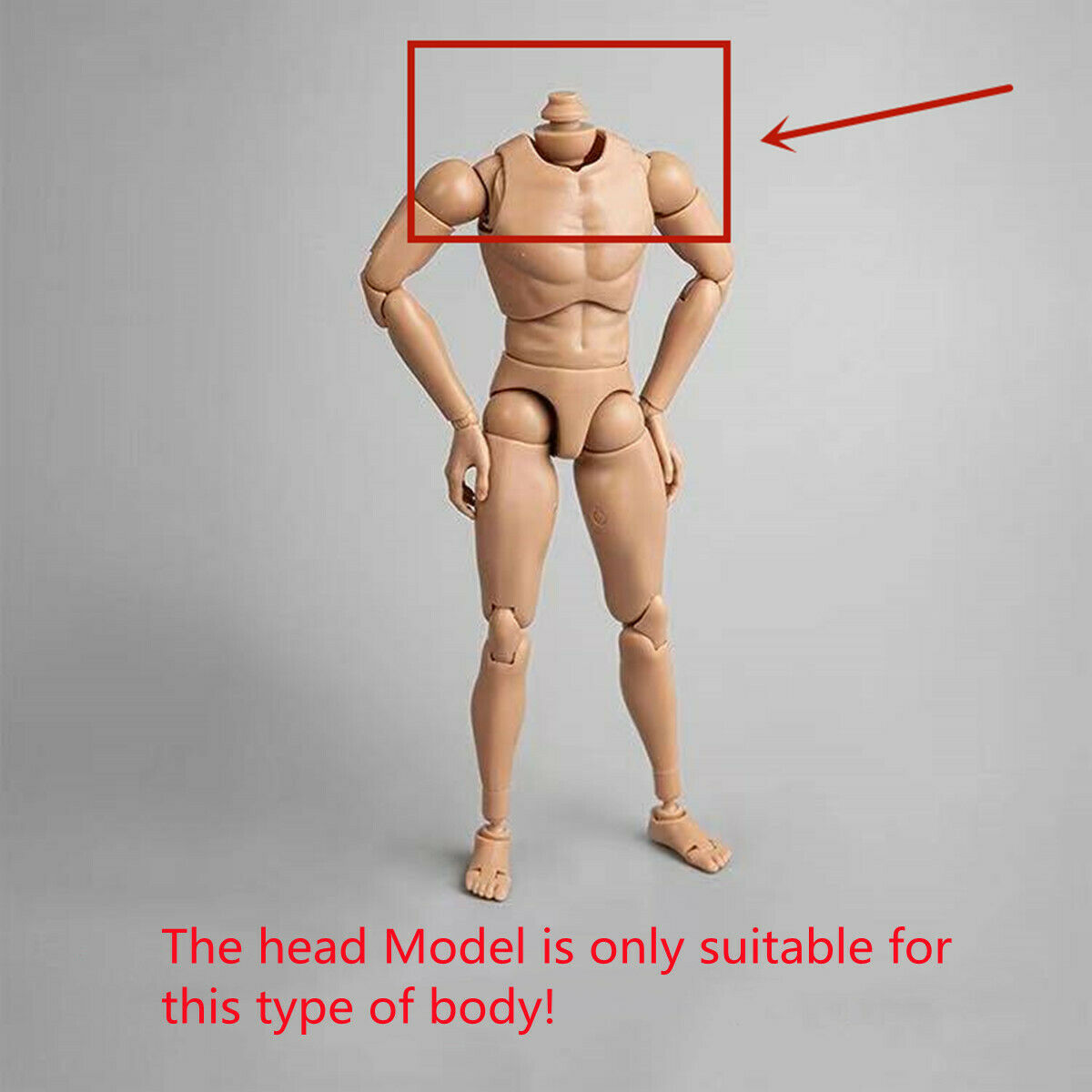 Mostoys 1/6 Bald Eagle Figure Healing Soldier Model Haliaeetus Leucocephalus Animal Collector Toy Resin Realistic Decor Kid Gift