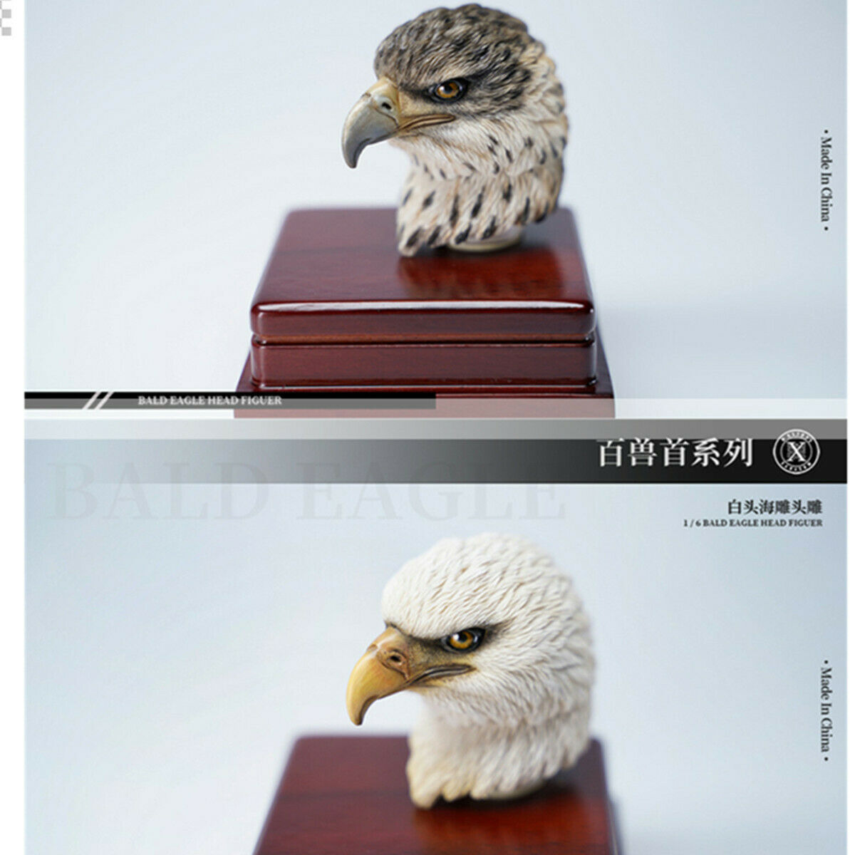 Mostoys 1/6 Bald Eagle Figure Healing Soldier Model Haliaeetus Leucocephalus Animal Collector Toy Resin Realistic Decor Kid Gift