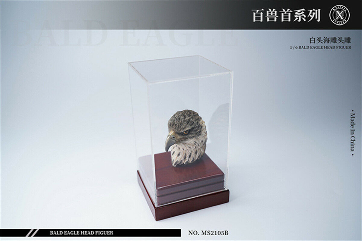 Mostoys 1/6 Bald Eagle Figure Healing Soldier Model Haliaeetus Leucocephalus Animal Collector Toy Resin Realistic Decor Kid Gift