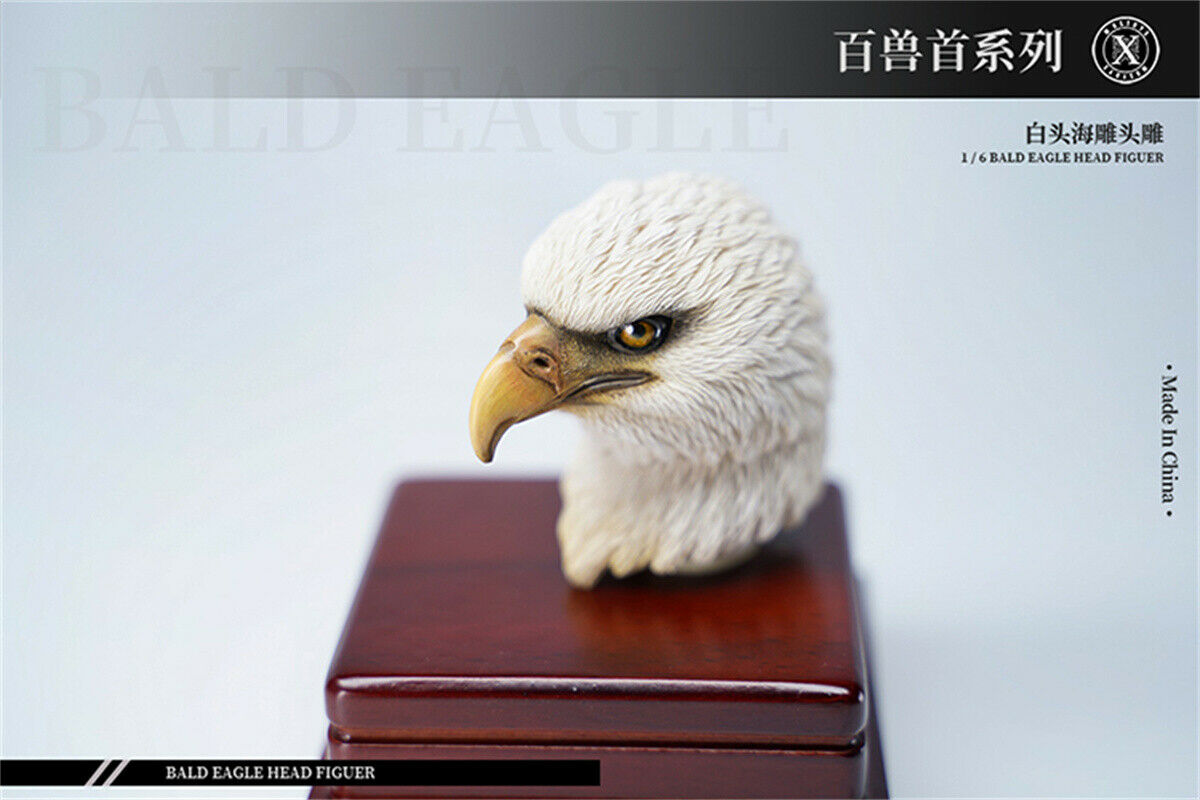 Mostoys 1/6 Bald Eagle Figure Healing Soldier Model Haliaeetus Leucocephalus Animal Collector Toy Resin Realistic Decor Kid Gift