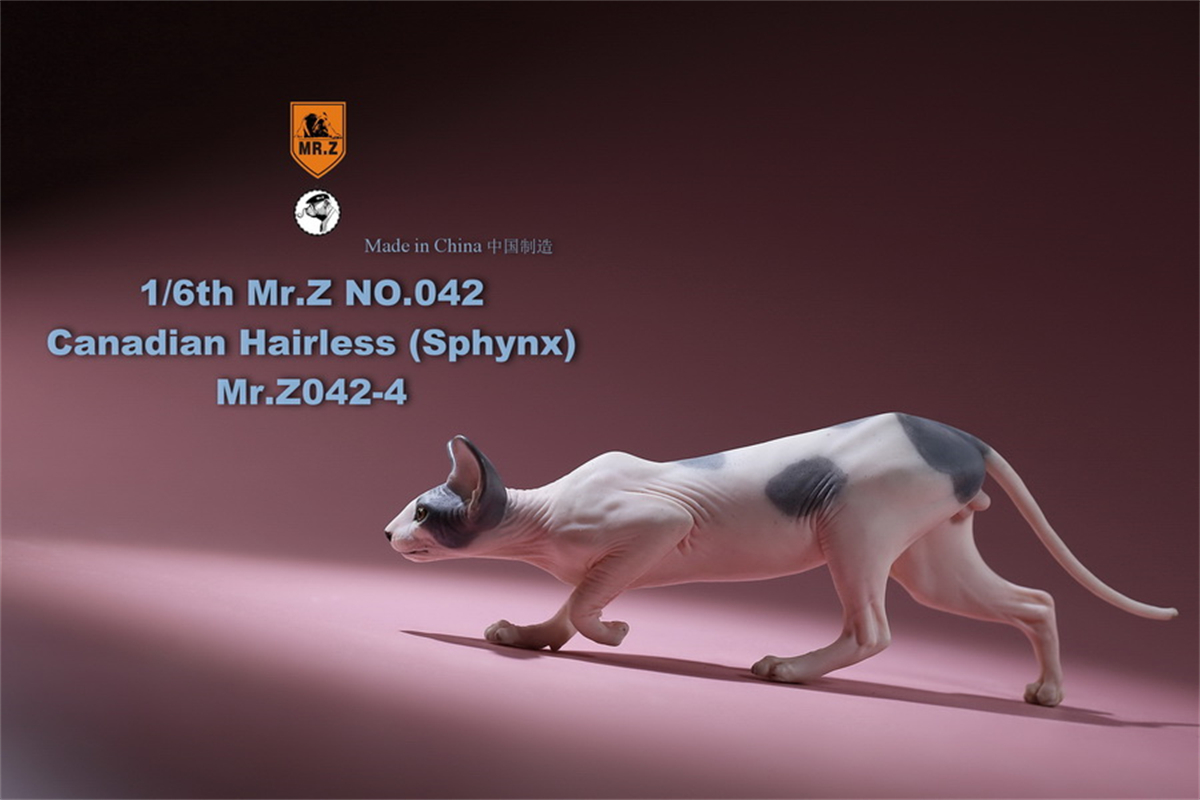 Mr.Z Studio 1:6 Canadian Hairless Figure Sphynx Cat Pet Animal Model Collector Toy Gfit Simulation Home Decoration Car Ornaments