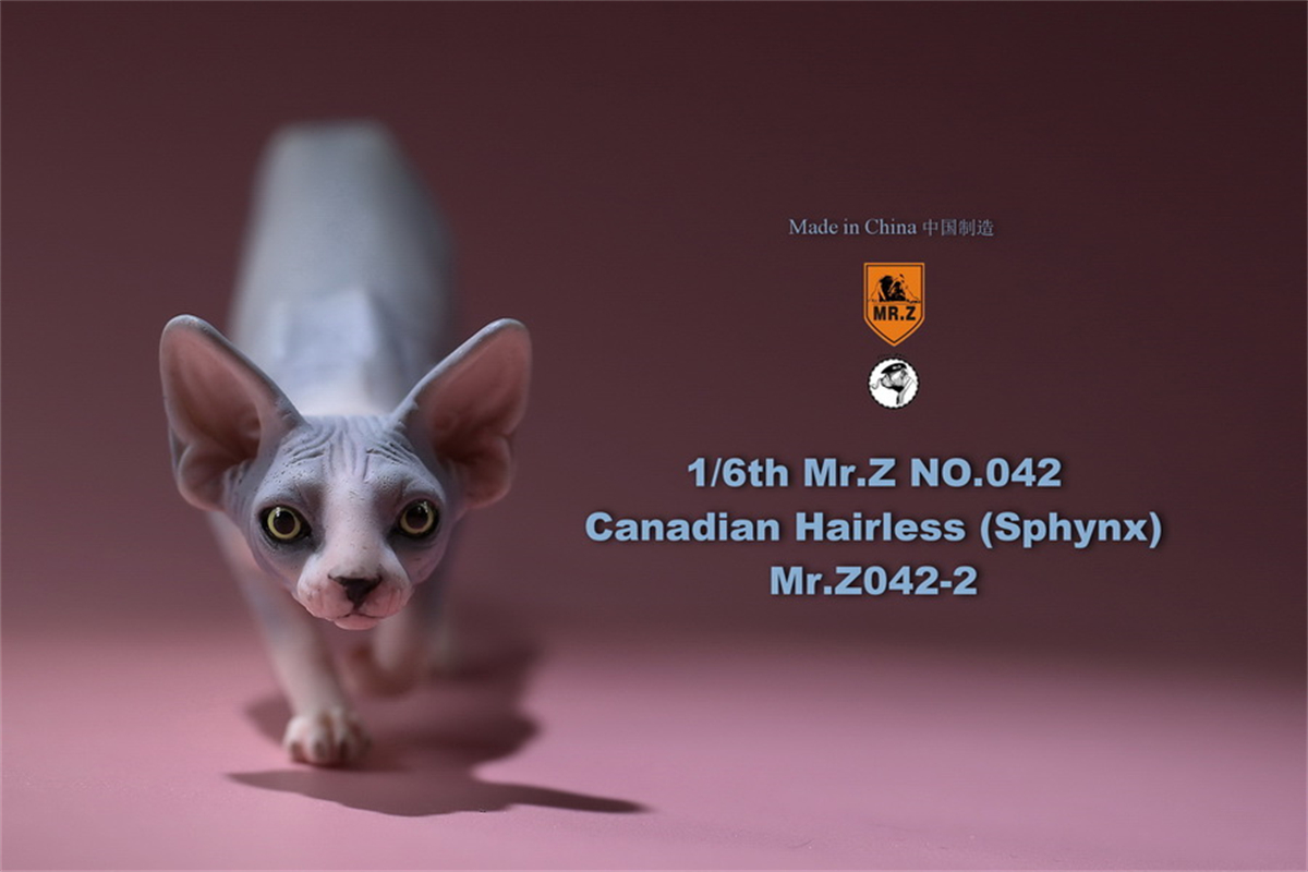 Mr.Z Studio 1:6 Canadian Hairless Figure Sphynx Cat Pet Animal Model Collector Toy Gfit Simulation Home Decoration Car Ornaments