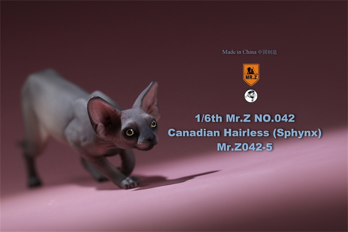 Mr.Z Studio 1:6 Canadian Hairless Figure Sphynx Cat Pet Animal Model Collector Toy Gfit Simulation Home Decoration Car Ornaments