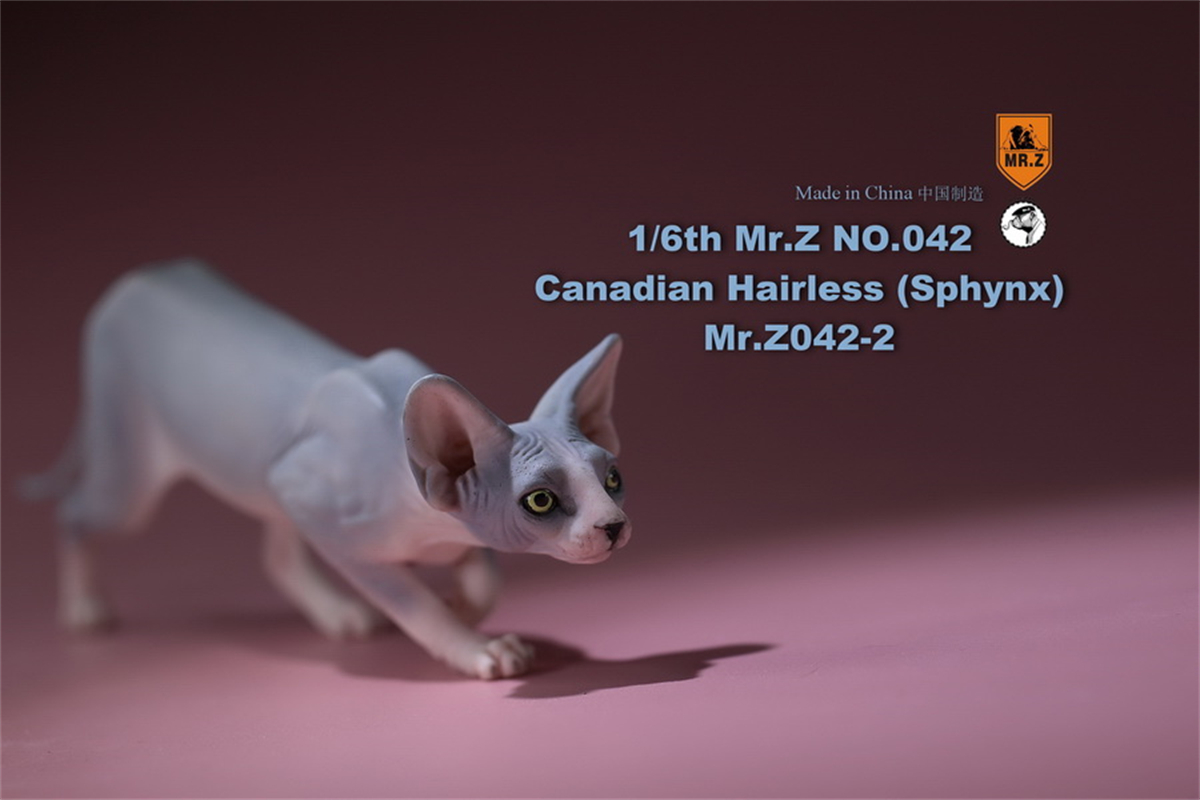 Mr.Z Studio 1:6 Canadian Hairless Figure Sphynx Cat Pet Animal Model Collector Toy Gfit Simulation Home Decoration Car Ornaments
