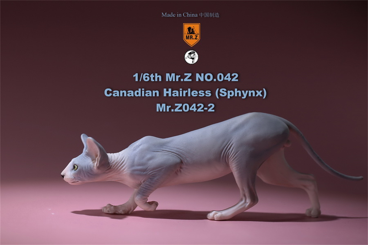 Mr.Z Studio 1:6 Canadian Hairless Figure Sphynx Cat Pet Animal Model Collector Toy Gfit Simulation Home Decoration Car Ornaments