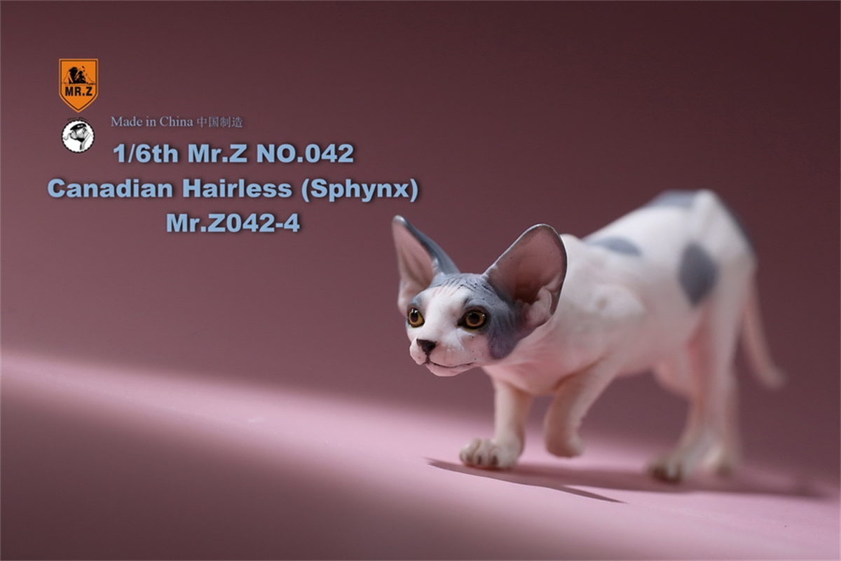 Mr.Z Studio 1:6 Canadian Hairless Figure Sphynx Cat Pet Animal Model Collector Toy Gfit Simulation Home Decoration Car Ornaments