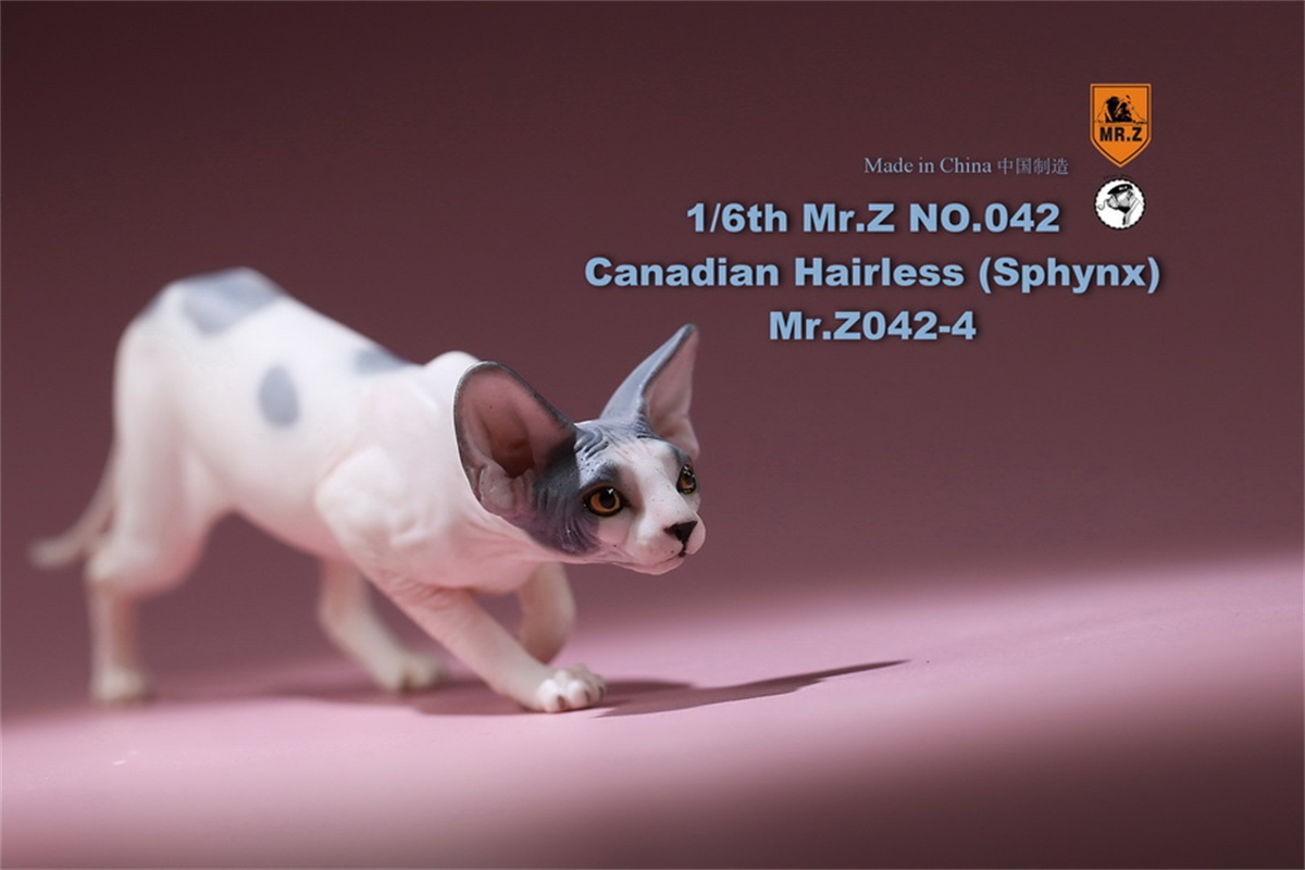 Mr.Z Studio 1:6 Canadian Hairless Figure Sphynx Cat Pet Animal Model Collector Toy Gfit Simulation Home Decoration Car Ornaments