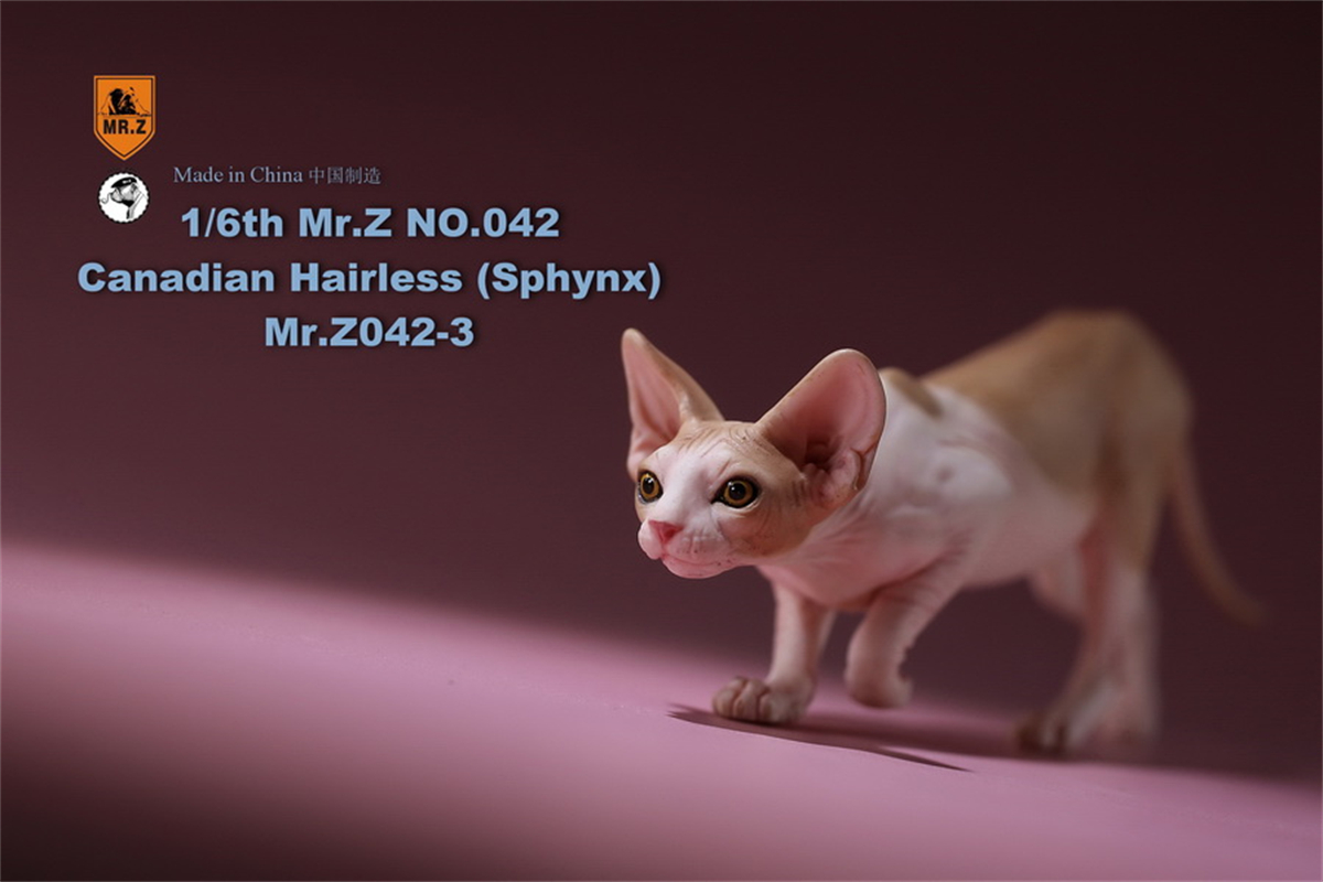Mr.Z Studio 1:6 Canadian Hairless Figure Sphynx Cat Pet Animal Model Collector Toy Gfit Simulation Home Decoration Car Ornaments