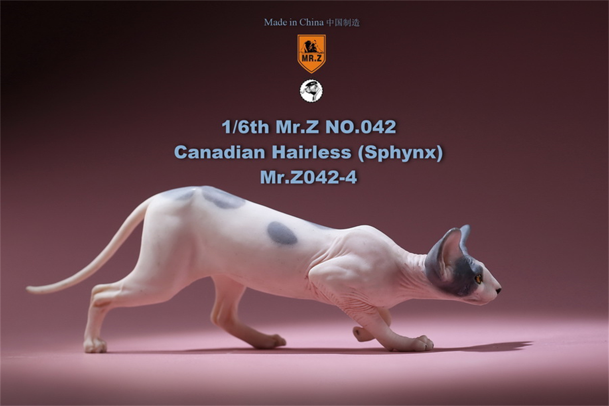Mr.Z Studio 1:6 Canadian Hairless Figure Sphynx Cat Pet Animal Model Collector Toy Gfit Simulation Home Decoration Car Ornaments