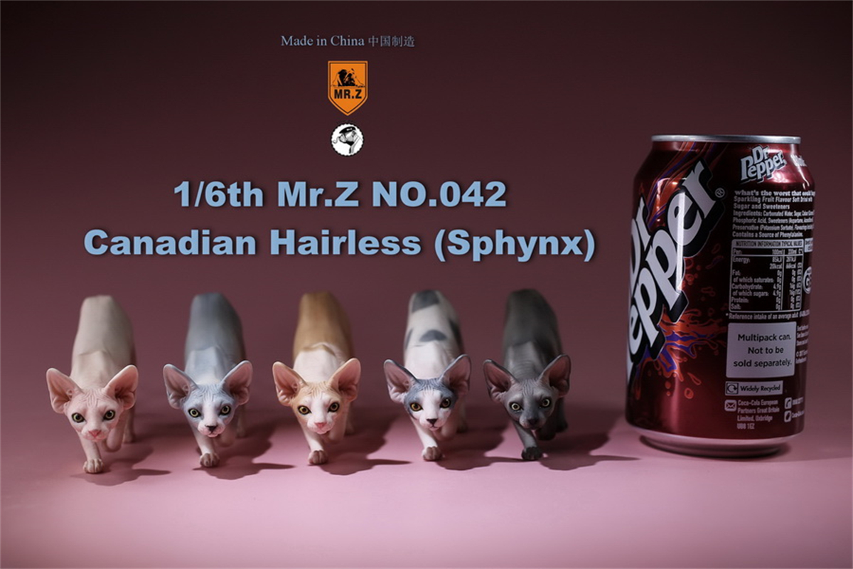 Mr.Z Studio 1:6 Canadian Hairless Figure Sphynx Cat Pet Animal Model Collector Toy Gfit Simulation Home Decoration Car Ornaments