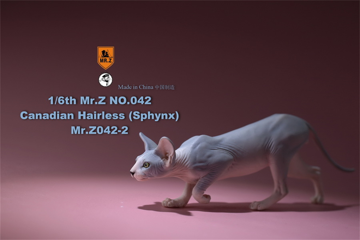 Mr.Z Studio 1:6 Canadian Hairless Figure Sphynx Cat Pet Animal Model Collector Toy Gfit Simulation Home Decoration Car Ornaments