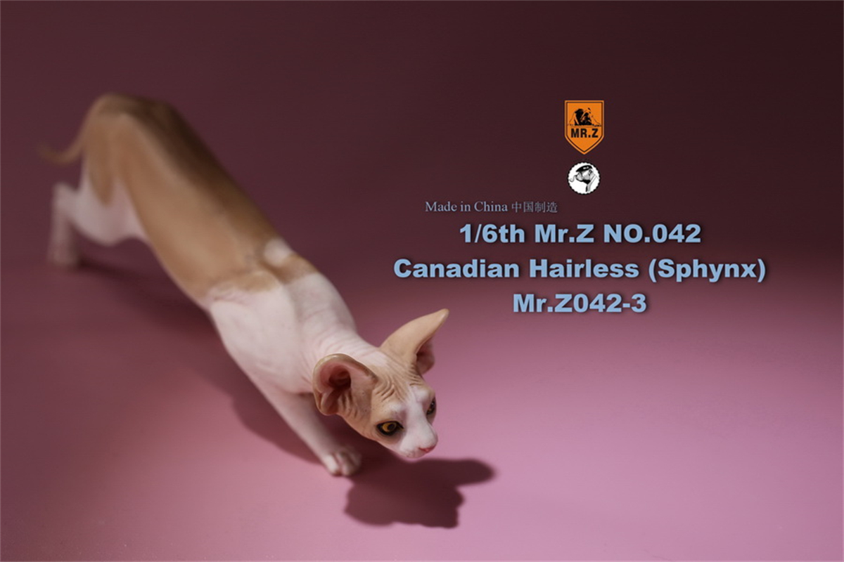 Mr.Z Studio 1:6 Canadian Hairless Figure Sphynx Cat Pet Animal Model Collector Toy Gfit Simulation Home Decoration Car Ornaments