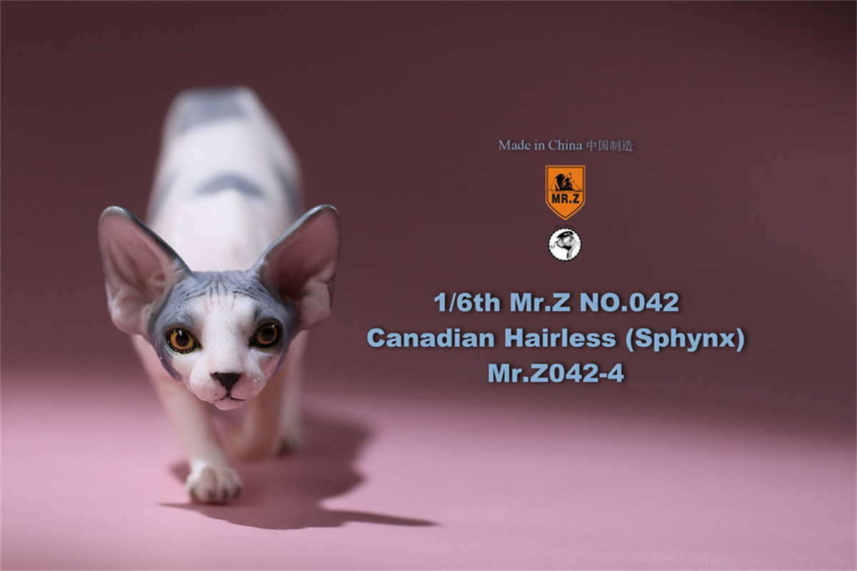Mr.Z Studio 1:6 Canadian Hairless Figure Sphynx Cat Pet Animal Model Collector Toy Gfit Simulation Home Decoration Car Ornaments