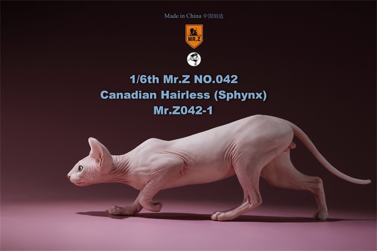 Mr.Z Studio 1:6 Canadian Hairless Figure Sphynx Cat Pet Animal Model Collector Toy Gfit Simulation Home Decoration Car Ornaments