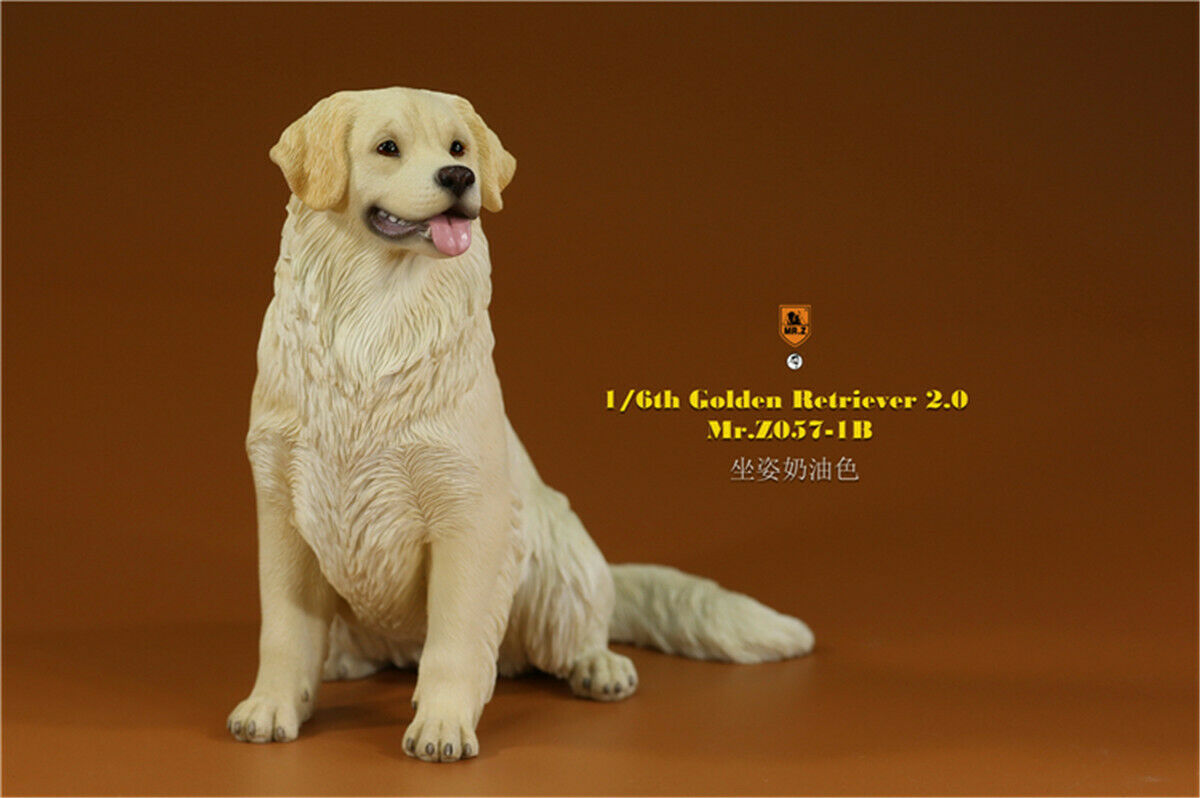Mr.Z 1/6 Golden Retriever Figure Pet Dog Animal Model Colllector Decor Toys Animals Model Collectible Toys Dog For kid Mr.Z 1/6 Golden Retriever Figure Pet Dog Animal Model Colllector Decor Toys Animals Model Collectible Toys Dog For kid