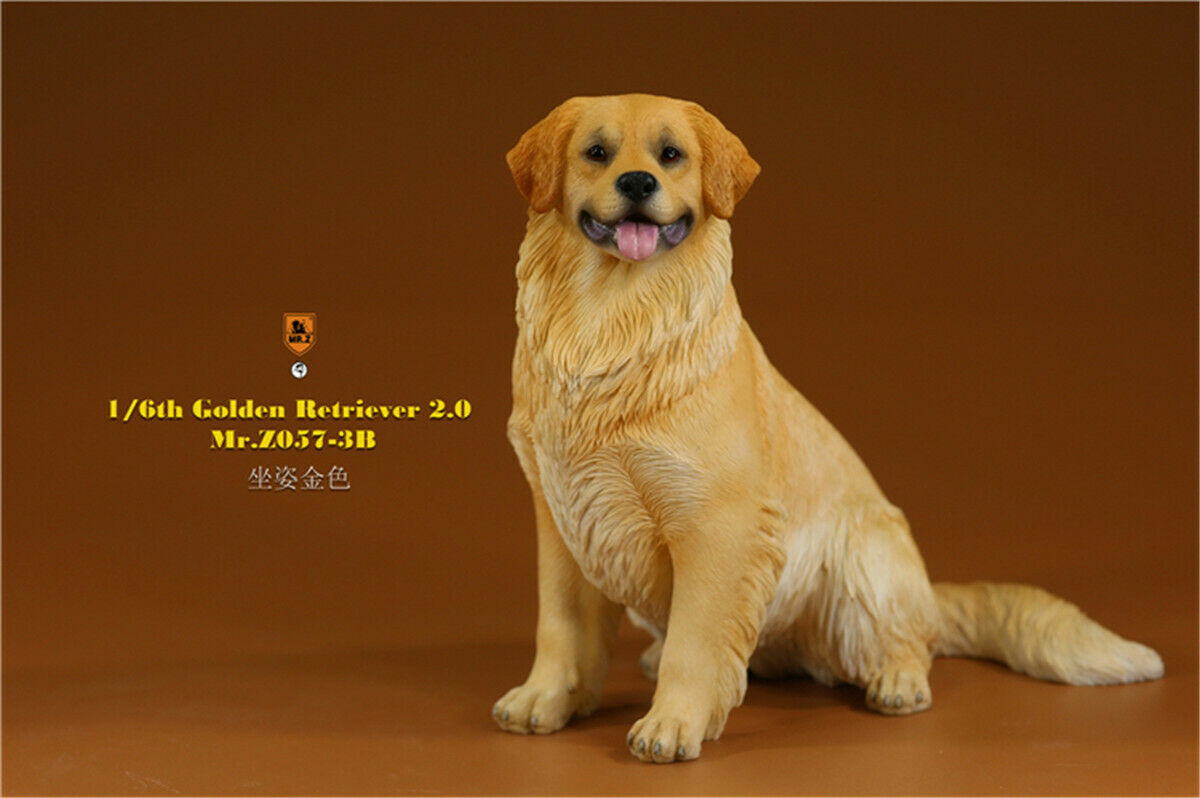 Mr.Z 1/6 Golden Retriever Figure Pet Dog Animal Model Colllector Decor Toys Animals Model Collectible Toys Dog For kid Mr.Z 1/6 Golden Retriever Figure Pet Dog Animal Model Colllector Decor Toys Animals Model Collectible Toys Dog For kid