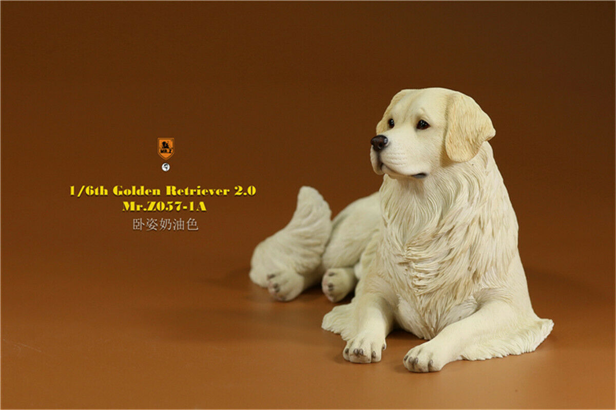 Mr.Z 1/6 Golden Retriever Figure Pet Dog Animal Model Colllector Decor Toys Animals Model Collectible Toys Dog For kid Mr.Z 1/6 Golden Retriever Figure Pet Dog Animal Model Colllector Decor Toys Animals Model Collectible Toys Dog For kid